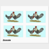 Cream Legbar-kippen Rechthoekige Sticker (Vel)