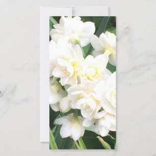 Cream Narcissus-printkaart Bedankkaart