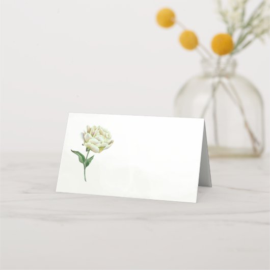 Cream Peony Place Cards (Voorkant)