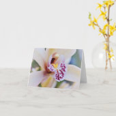 Cream Pink Orchid uit de tuin van Gertie Kaart (Gele Bloem)