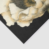 Cream Poppy-ventilator op zwarte achtergrond Tissuepapier (Detail)