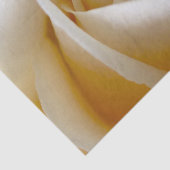 Cream Roos Wedding Photo Tissuepapier (Detail)