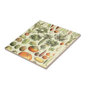  Cream Vegetables Pattern Tegeltje (Zijkant)