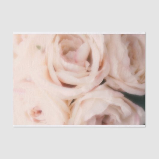 Creamy Soft Blush Roses Elegant Wedding Tissuepapier (Voorkant)