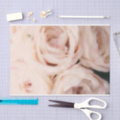 Creamy Soft Blush Roses Elegant Wedding Tissuepapier (Craft)