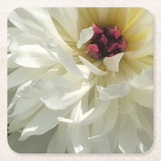 Creamy White Peony Flower met roze Stamens Vierkante Kartonnen Onderzetter (Voorkant)
