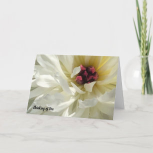 Creamy White Peony Flower Sympathiekaart Kaart