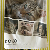 Create Your Own Cat Photo Fleece Deken