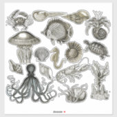 Créateurs marins Stickers de vinyle transparent (Feuille)