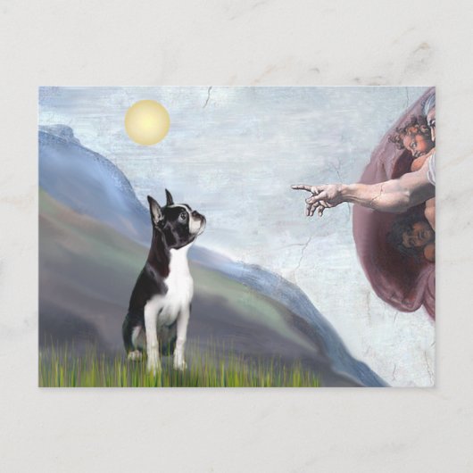 Creatie van de Boston Terrier (#3) Briefkaart (Voorkant)