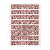 Creatie van watermeloenpatroon 4 (Vel)