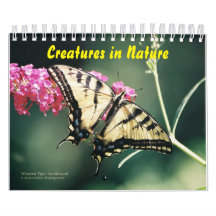 creaties in Natuur agenda