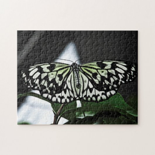 Creatieve patroon legpuzzel (Horizontaal)