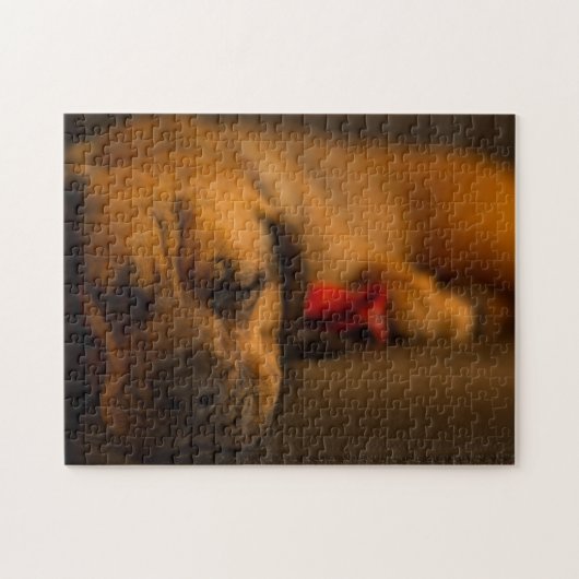 Creatieve patroon legpuzzel (Horizontaal)