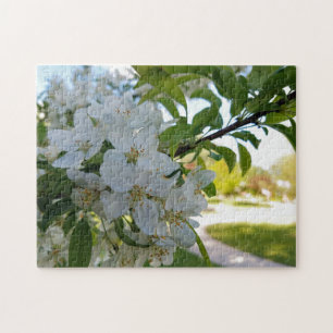 Creatieve witte bloesem boom foto legpuzzel