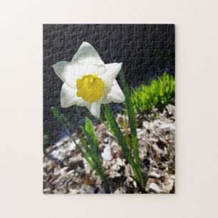 Creatieve witte narcis tuinjigsawpuzzel legpuzzel