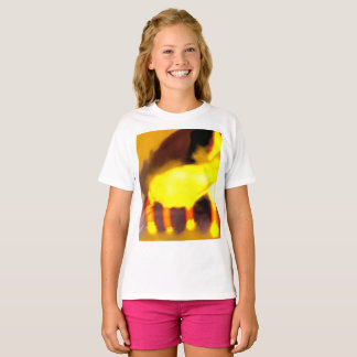 Creation of the dragon cat t-shirt