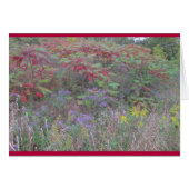 Creations Bounty (Devant Horizontal)