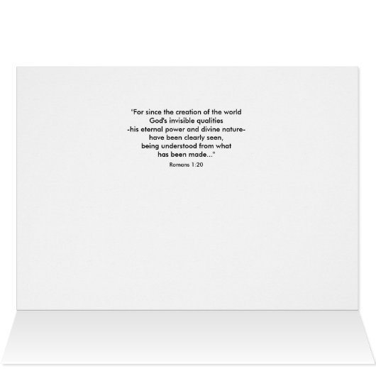 Creations Bounty (Intérieur Horizontal (haut))