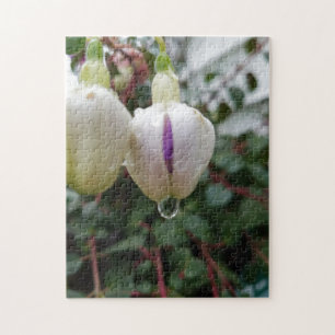 Creative bud fuchsia flower photopuzzel legpuzzel