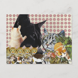 Creative Cats-Briefkaart Briefkaart