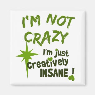 Creative Insane Magnet Magneet