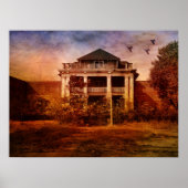 Creative Madness-Asylum Poster (Voorkant)