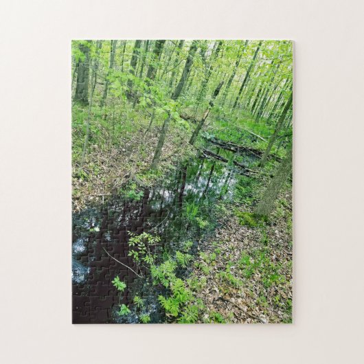 Creative stream herfst water foto puzzel puzzel (Verticaal)