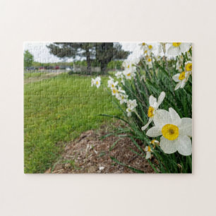 Creative white daffodil foto jigzaag puzzel legpuzzel