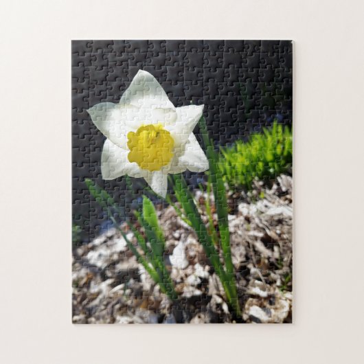 Creative white daffodil garden puzzel legpuzzel (Verticaal)