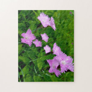 Creative wild flower walk photopuzzel puzzel legpuzzel