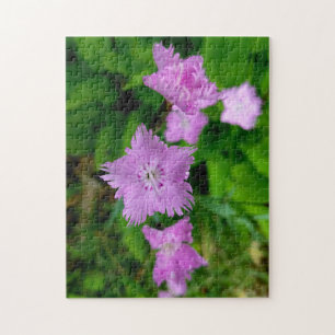 Creative wild flower walk photopuzzel puzzel legpuzzel