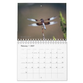 Créatures dans le calendrier de nature (Feb 2027)