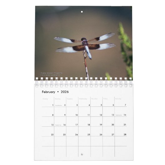 Créatures dans le calendrier de nature (Feb 2026)