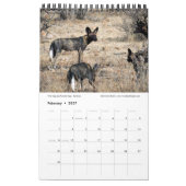 CRÉATURES SAUVAGES SPLENDIDES - Calendrier KENYA ( (Feb 2027)