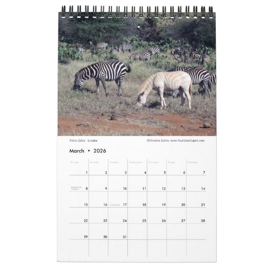 CRÉATURES SAUVAGES SPLENDIDES - Calendrier KENYA ( (Mar 2026)