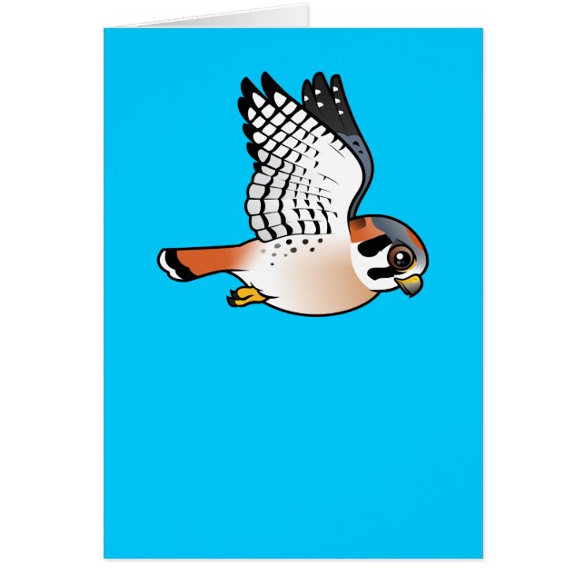 Crécerelle américaine en vol (Devant)