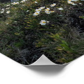 Creëer Custom Quote Poster — Mountain Sunset (Hoek)