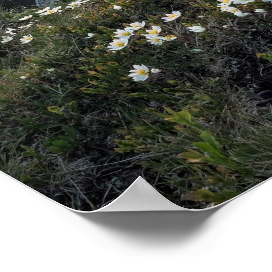 Creëer Custom Quote Poster — Mountain Sunset (Hoek)