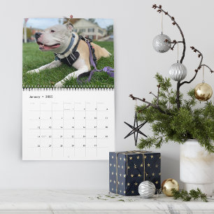 Creëer Dog Memories op maat Kalender