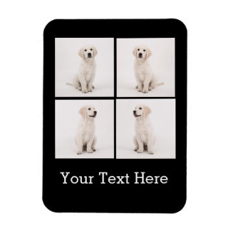 Creëer Instagram-serie Fotofoto's van Dog Cat Magneet