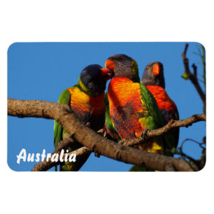 Creëer je eigen fotomagneet magneet