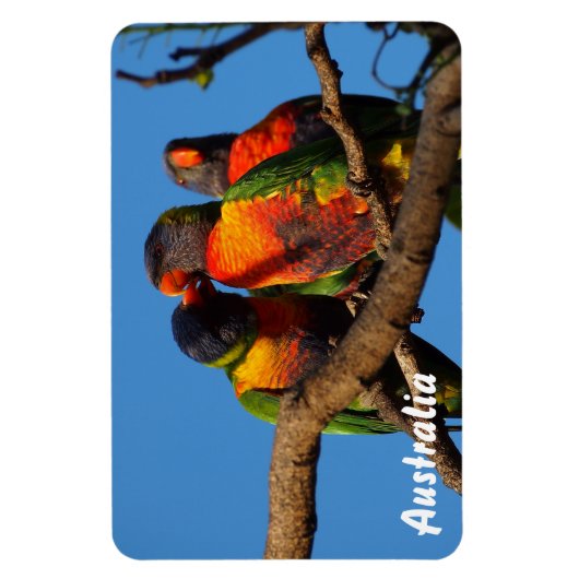 Creëer je eigen fotomagneet magneet (Verticaal)