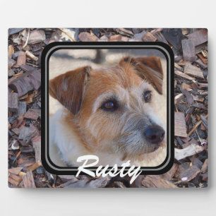 Creëer je eigen fotoplaque fotoplaat