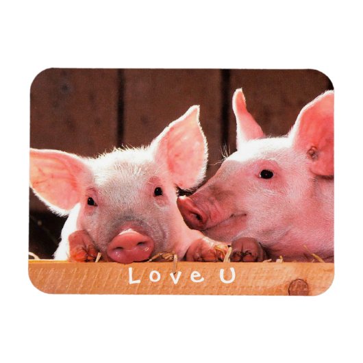 Creëer je eigen grappige fotoliefje magneet (Horizontaal)