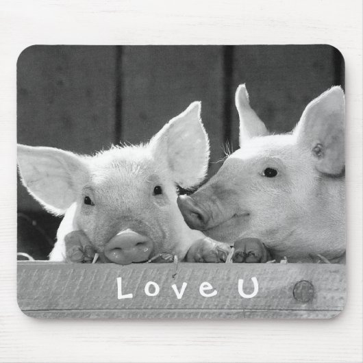 Creëer je eigen grappige fotoliefje muismat (Voorkant)