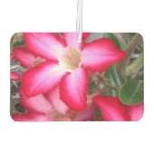 Creëer je eigen luchtverfrisser (Achterkant)