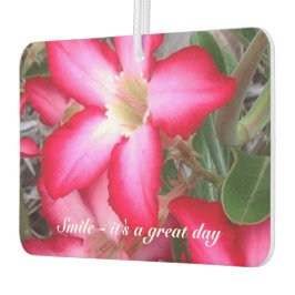 Creëer je eigen luchtverfrisser