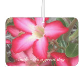 Creëer je eigen luchtverfrisser (Voorkant)