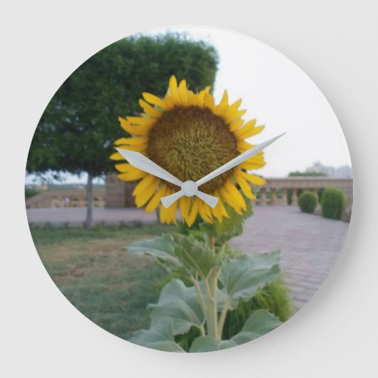 Creëer je eigen perfecte tijd grote klok (Voorkant)